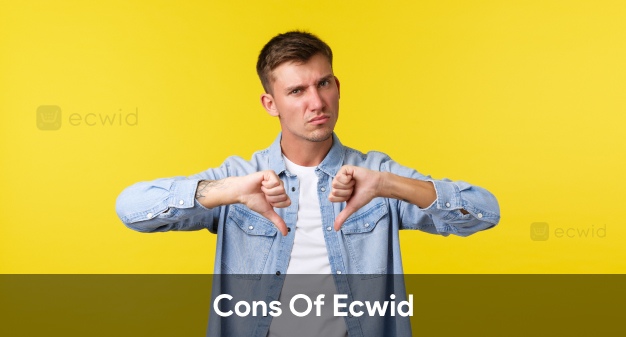 Cons Of Ecwid
